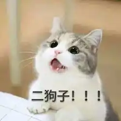 算我求你的表情包猫社会