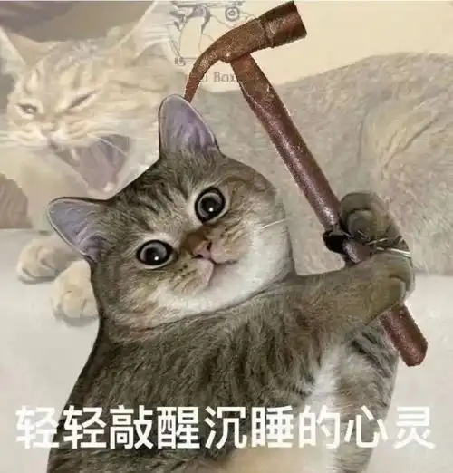  因为这种小馆子,上海才上海