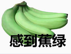  此文专供记者节日快乐