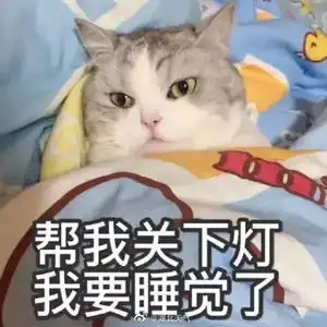 再不睡就天亮了表情包崽