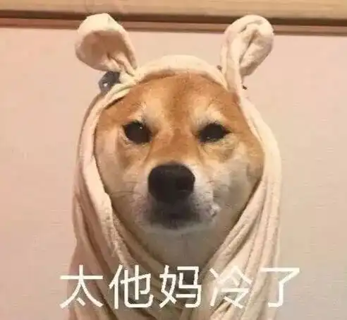 柴犬斜眼表情包并不