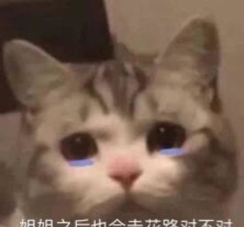 爱会消失吗表情包空调