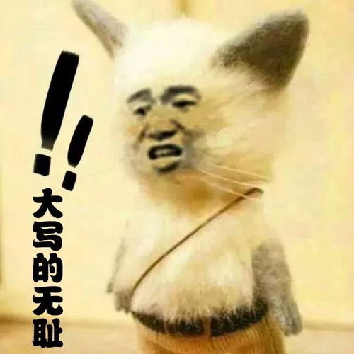  当你还在研究外卖数据时,别人已经日均300单了科技战胜所谓忙碌