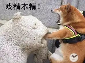 表情包阿狸是啥意思戏精