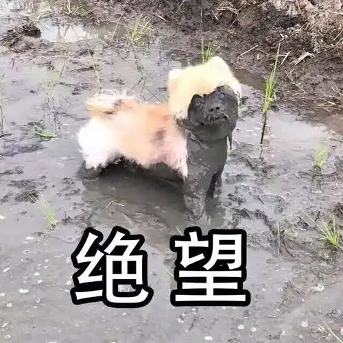  相了好多亲依然还是单身,哈哈哈哈哈哈哈哈哈哈