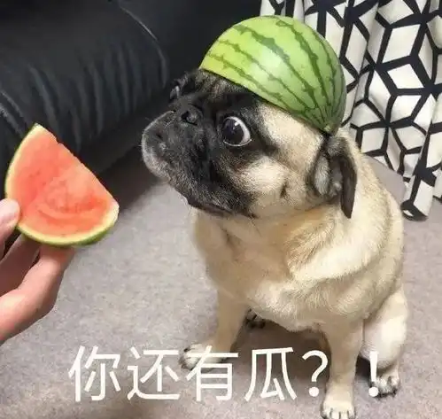  下一个顶流,就这