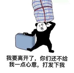 装逼表情包春运