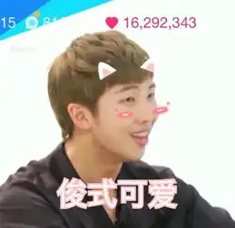  防弹少年团表情包金南俊rapmonster堆糖,美好生活研究所