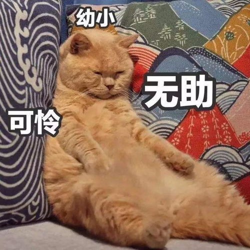  吃不胖的人不会胖竟然是因为这个...一份科学报告告诉大家其中的奥秘