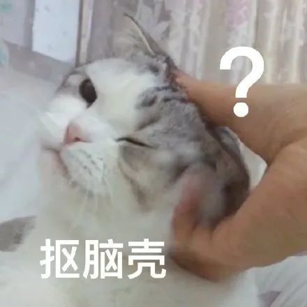  表情包让我瞧瞧,看热闹不嫌事大