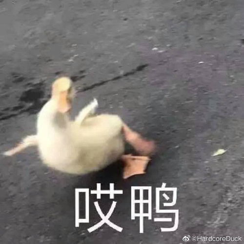  遇到特别恶心的房东怎么办
