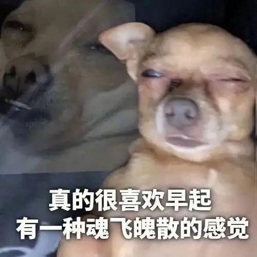 抖音收藏的表情哪里找今日头条