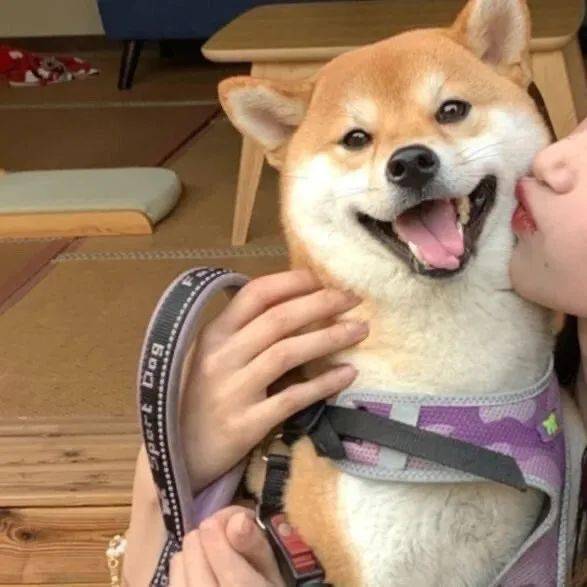  超甜蜜美图情侣头像