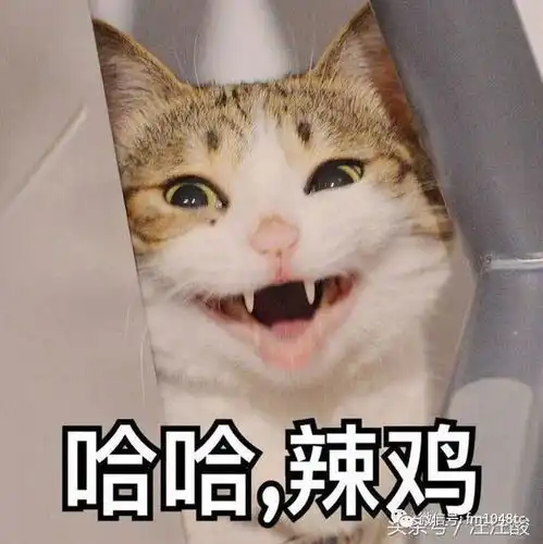  朋友圈有这种人就果断拉黑吧