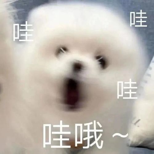  我用一双筷子整疯仨老外留学生神贴被50万人围观怒赞....