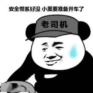 头盔图片表情包严查