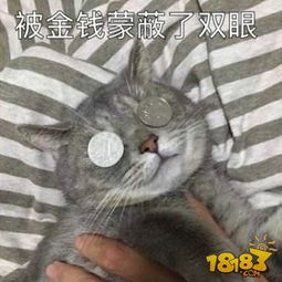  18183每日手游推荐世上无难事,只怕有钱人