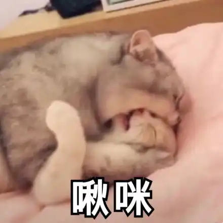  女友一笑,生活不闹男友求生篇