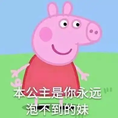  我不知道你在说什么,我只是一只小猪啊