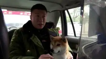  极挑2孙红雷电台寻张艺兴遭吐槽不愧是大傻