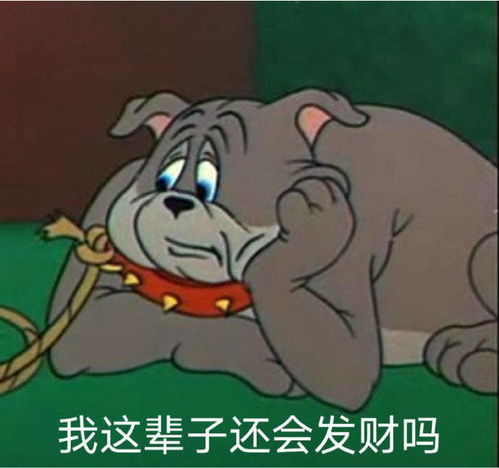  那些端午节文案
