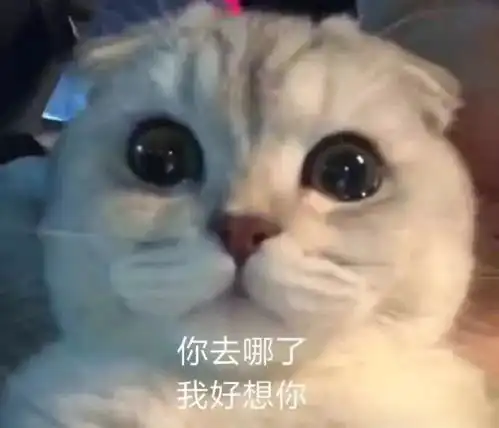  表情包丨向恶势力卖萌
