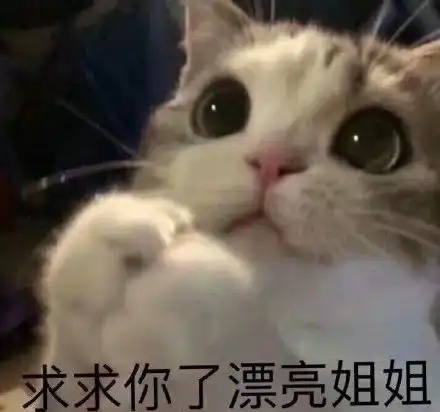  只能沙雕亿点点的,不能沙雕多了的表情包