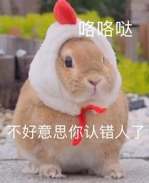 可爱想表情包扎心