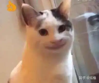  有没有那种别人一看就觉得我脑子有病的头像表情包也行,求求了