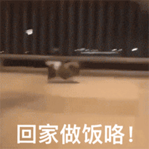  宠物动态表情包