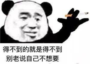  表情包还是沙雕熊猫头好使