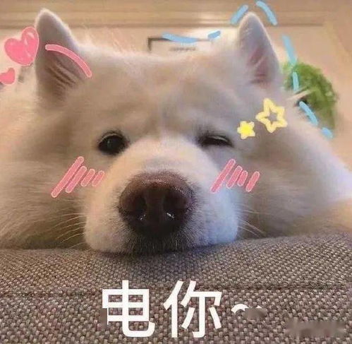  生活很好,记得微笑