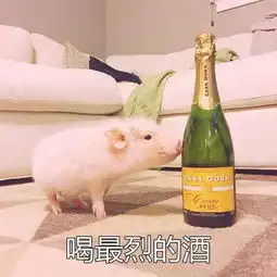  抖音90后养生表情包