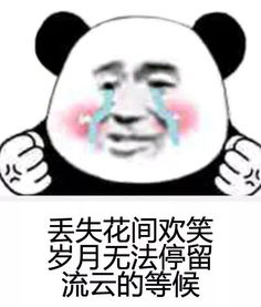  最火抖音表情包纸短情长熊猫头表情包怎么会爱上了她并决定跟她回家