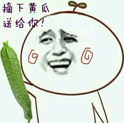  东方金馆长的介绍