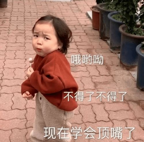  表情包快看那个人类,这是她第108次说要减肥了