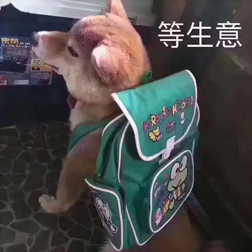  代购日记,揭露不为人知的秘密都说