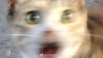  头发对一个人的影响有多大