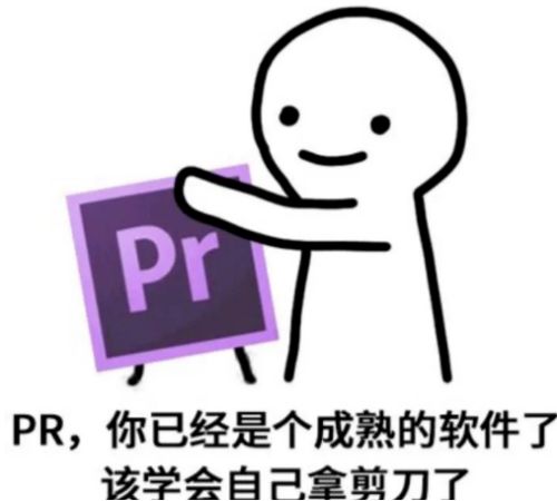 让我摸摸你的表情包相城