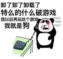  硬核玩家pk纯小白pconline编辑部大揭秘