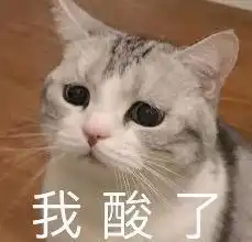  阿拉斯加生下6个崽,主人拍照炫耀却遭嘲笑值钱的赶紧都收起来