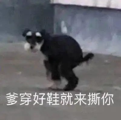  每晚欢乐沙雕表情包