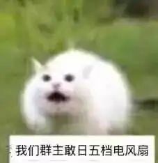  斗图表情包我们群主敢吃屎转发给你的群主