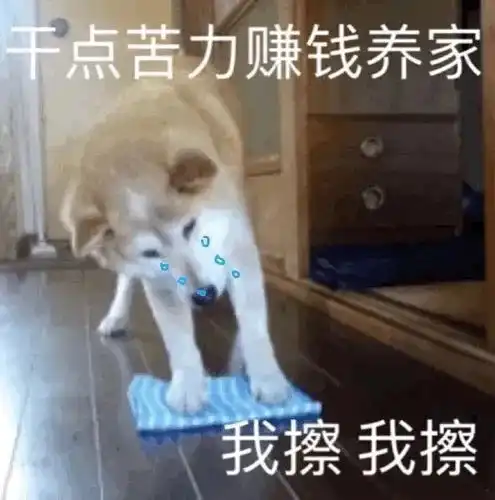  表情包想你脑袋里都是你