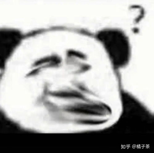  有哪些可可爱爱的表情包