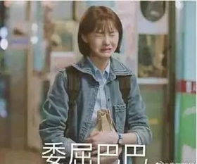 熬最贵的夜表情包范冰冰