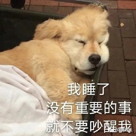  比阿里瓜还劲爆,95后校花婚内出轨高管,老公被绿后得子