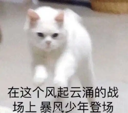  春夏doki超全的春夏资讯粉丝直播活动集合