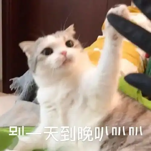 funny表情包柠檬精