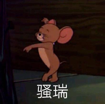  猫和老鼠老鼠杰瑞表情包合集你想气死我这个小可爱吗